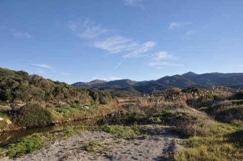 blue lagoon bike tour